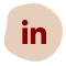 Icon Linkedin